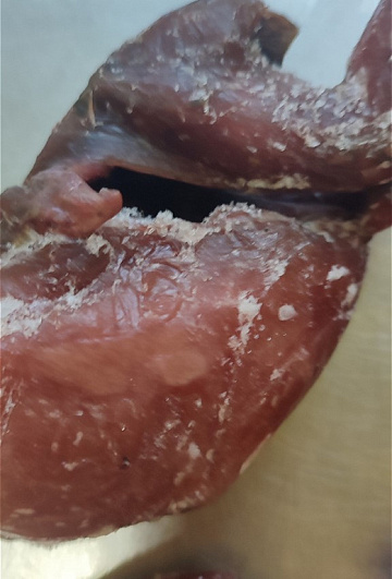 Фото Рябчик без пера УЦЕНКА