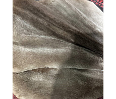 Шкурка бобра выделанная стриженная большая