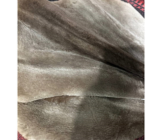 Шкурка бобра выделанная стриженная большая