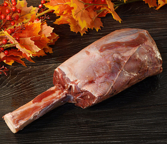 Голяшка лося на кости