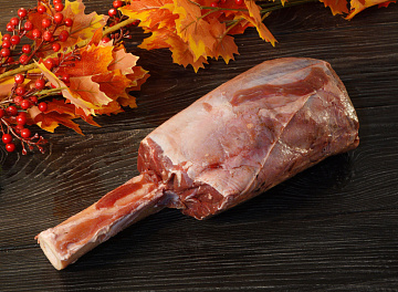 Фото Голяшка лося на кости