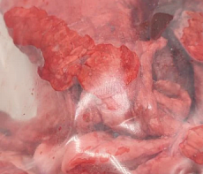 Легкое лани