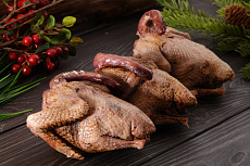 Дикий вяхирь