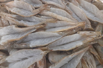 Фото Креветка королевская Ваннамей Бабочка с головой в панцире с разрезом на спинке 20/30 500гр