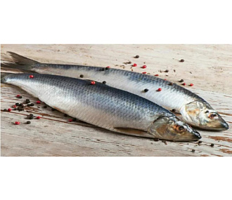 Сельдь Олюторская неразделанная крупная свежемороженая