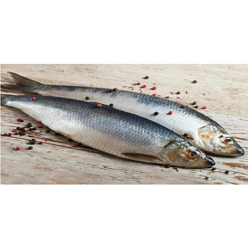 Фото Сельдь Олюторская неразделанная крупная свежемороженая
