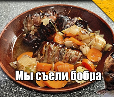 Бобр тушёный в бульоне