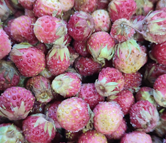 Клубника дикая луговая свежемороженая (12кг коробка)