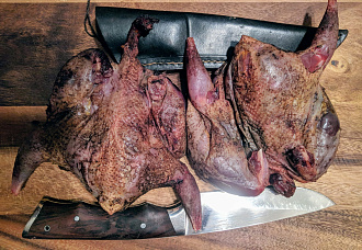 Серая куропатка дикая без пера