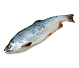 Горбуша свежемороженая непотрошеная (мешок 20кг)