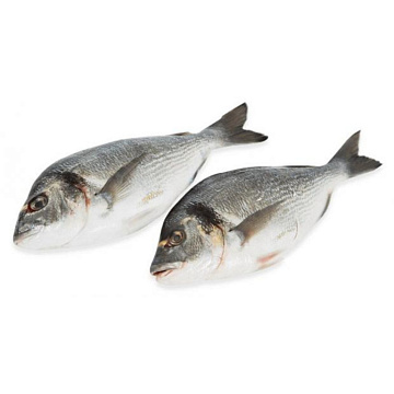 Фото Дорадо с/м (300-400г)