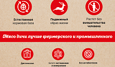 Превью Паштет из мяса марала с белыми грибами