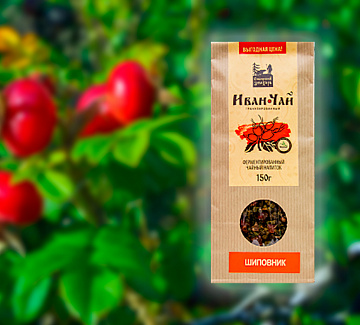 Фото Иван-чай с шиповником