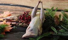 Превью Фазан вольерный 0,6-0,8кг 