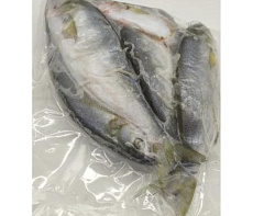Луфарь черноморский свежемороженый (19-23см)