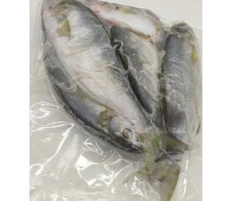 Луфарь черноморский свежемороженый (19-23см)