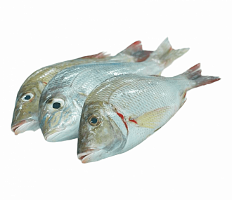 Рыба император EMPEROR(LETHRINUS SPP) целая,непотрошеная с/м