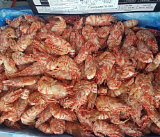 Креветка гренландская н/р в/м "Морской дракон" 70/90(коробка 5кг)