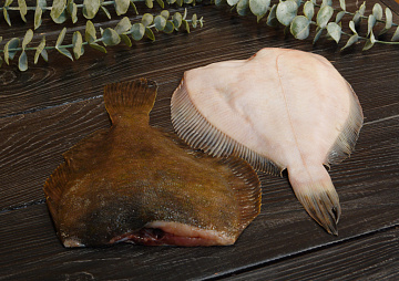 Фото Камбала белобрюхая потрошеная без головы 150-500гр