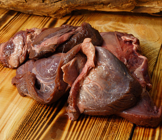 Пашина северного оленя