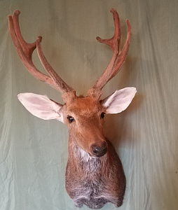 Превью Голова пятнистого оленя с пантами