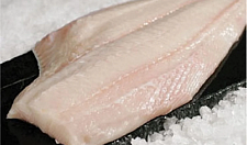 Превью Палтус филе на коже штучной заморозки 