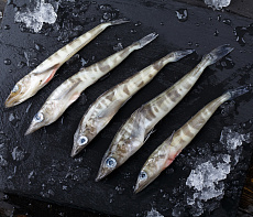 Ледяная рыба 0,1-0,250кг