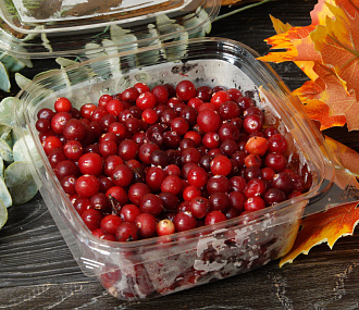 Клюква дикая 500 г