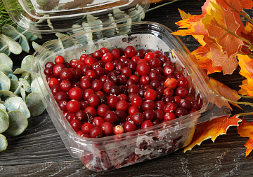 Фото Клюква дикая 500 г