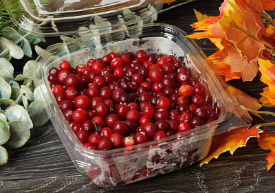 Товар Клюква дикая 500 г