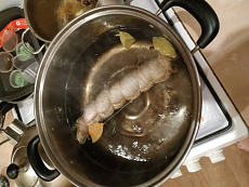 Желудок лося