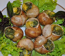 Экспресс-рецепт улиток под пармезаном