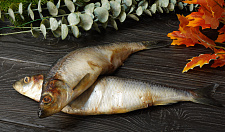 Превью Сельдь тихоокеанская жирная свежемороженая крупная