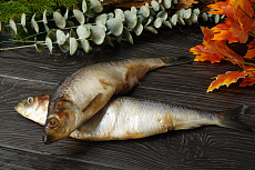 Сельдь тихоокеанская жирная свежемороженая крупная