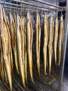 Превью Балтийский Угорь горячего копчения 600-1000 гр в в/у