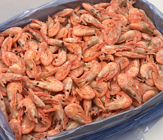 Креветка северная в/м 120+(коробка 5кг)