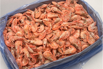 Фото Креветка северная в/м 120+(коробка 5кг)