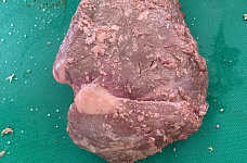 Превью Дикое мясо и птица в ресторане. Казань